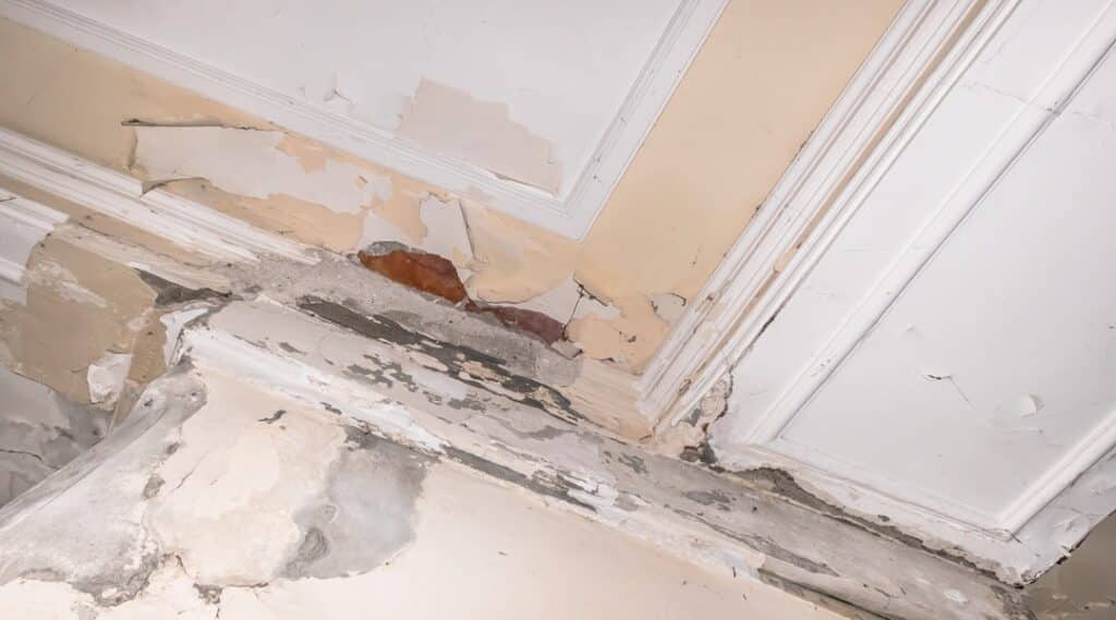 What to Do When You Have a Leak in the Ceiling? 2 Ceiling and walls damage by humidity