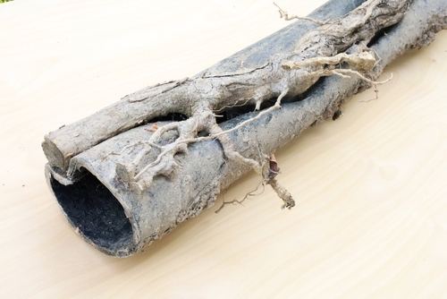 sewer-repair-winchester-ca-new-homes