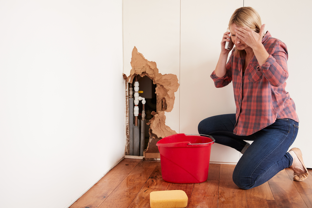 emergency plumber Nuevo CA
